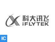 iFLYTEK (科大讯飞)